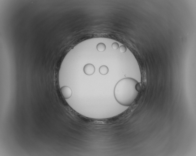 X0000111930519200908171239