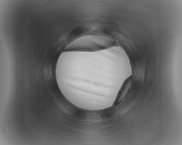 X0000111930520200908171239