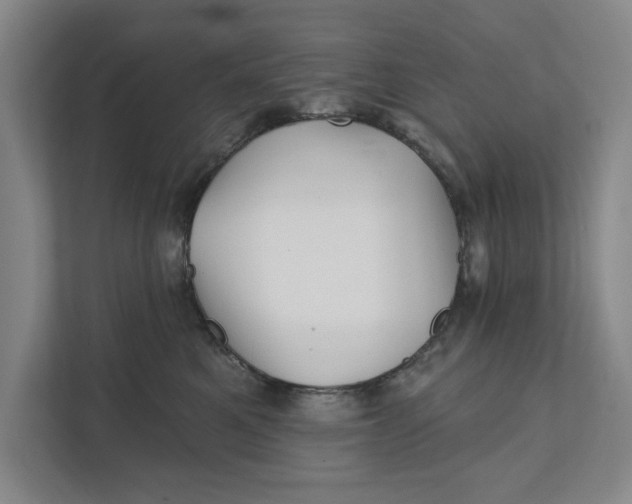 X0000111930521200908171239