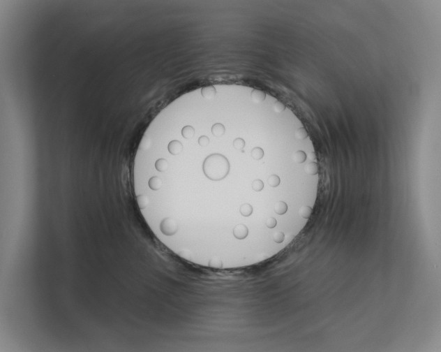 X0000111930523200908171239