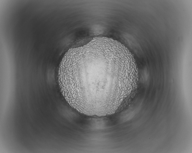 X0000111930524200908171239