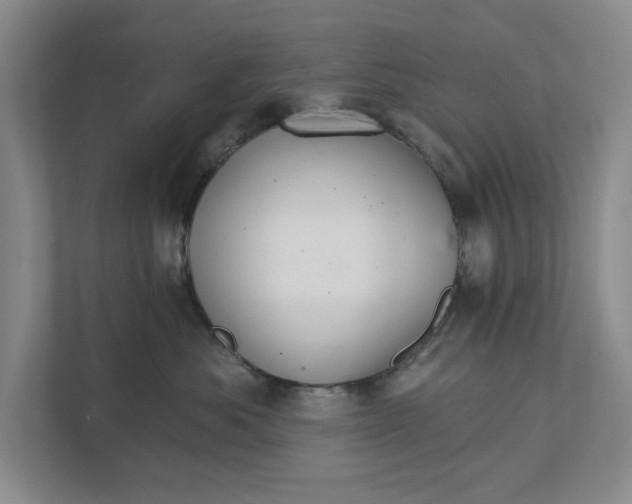 X0000111930525200908171239