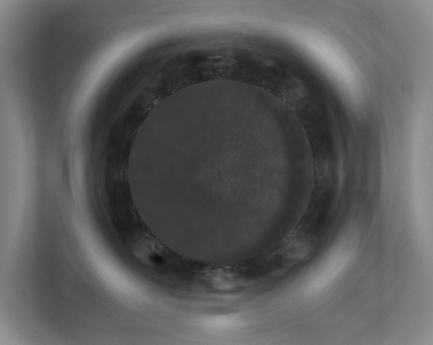 X0000111930526200908171239