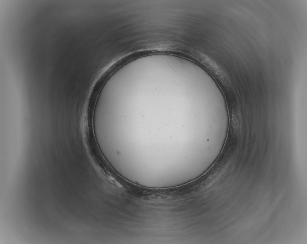 X0000111930532200908171238