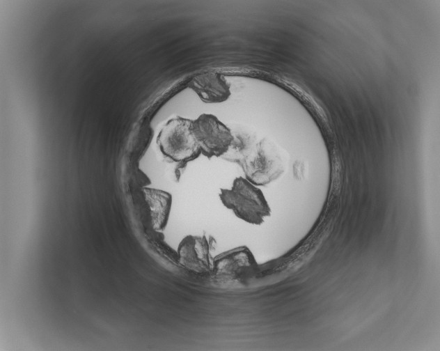 X0000111930533200908171238