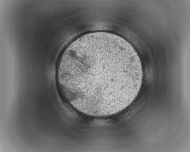 X0000111930534200908171238