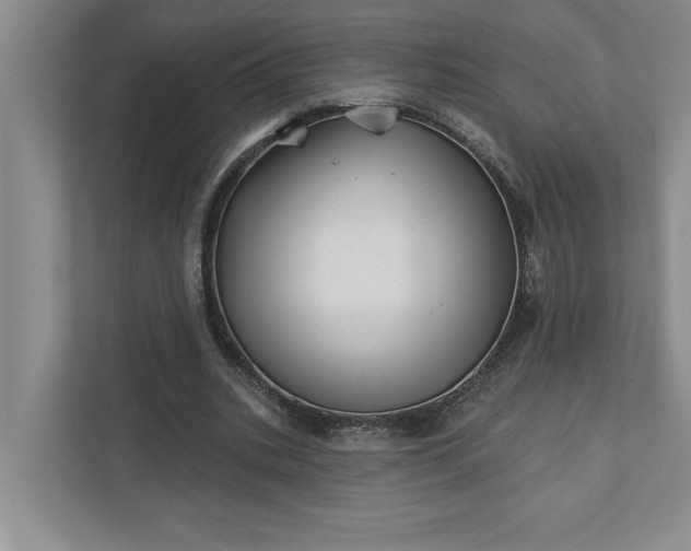 X0000111930535200908171238