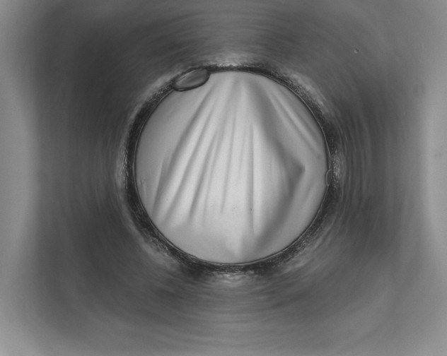 X0000111930540200908171238