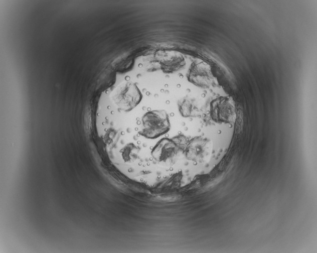 X0000111930541200908171238