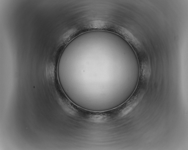 X0000111930542200908171238