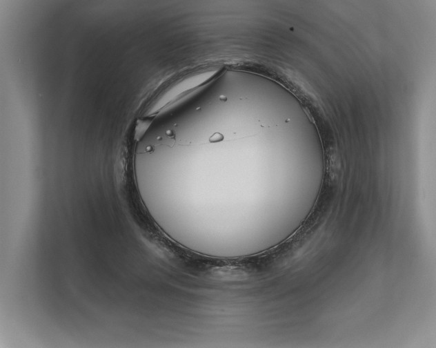 X0000111930544200908171238