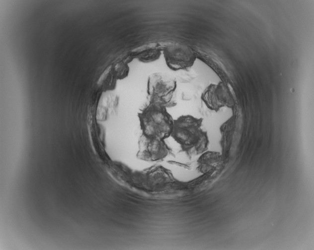 X0000111930545200908171238