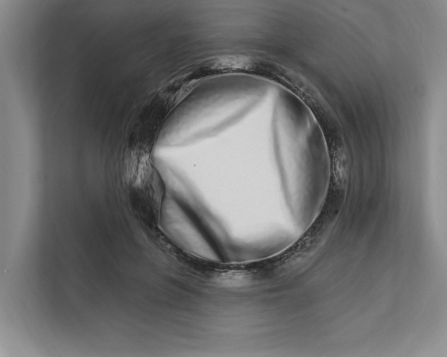 X0000111930551200908171239