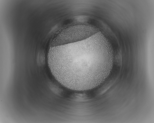 X0000111930552200908171239