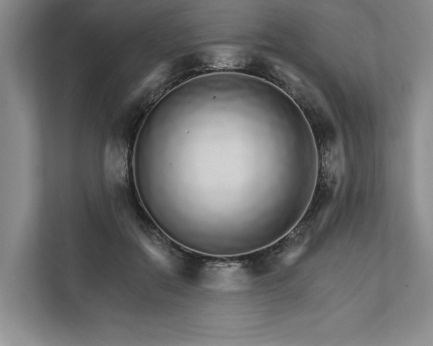 X0000111930554200908171239