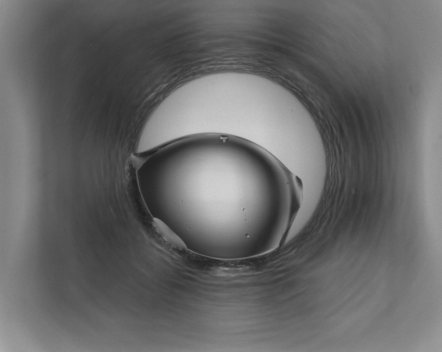 X0000111930556200908171239