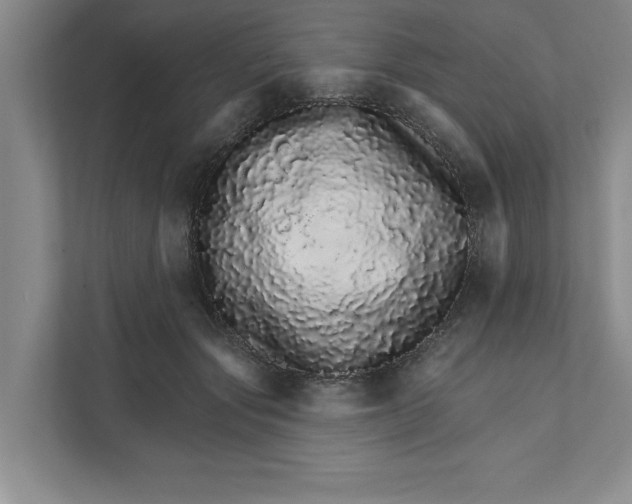 X0000111930557200908171239