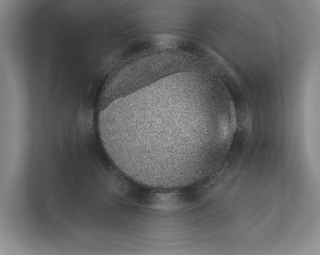 X0000111930560200908171239