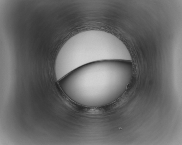 X0000111930562200908171239