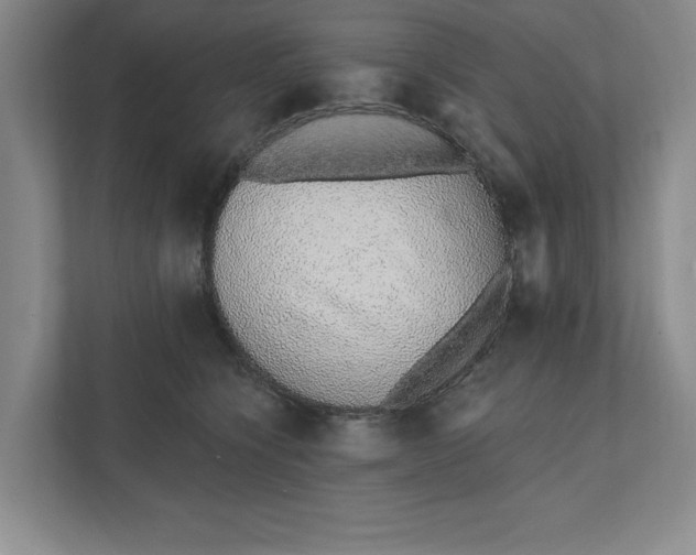 X0000111930564200908171239