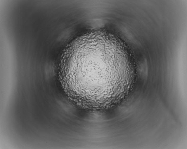 X0000111930565200908171239