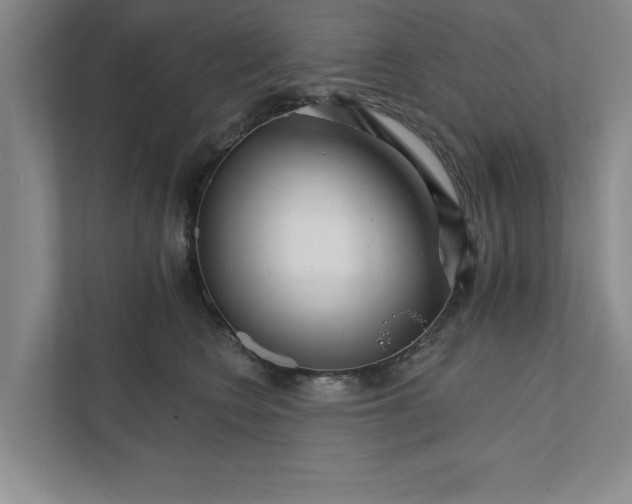 X0000111930566200908171239