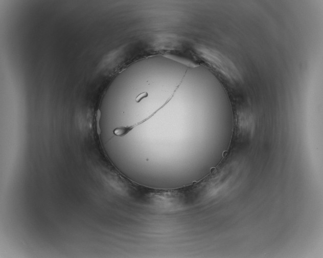 X0000111930567200908171239