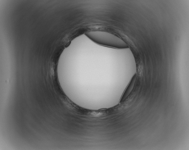 X0000111930570200908171239