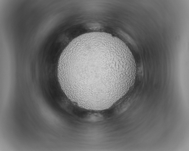 X0000111930572200908171239