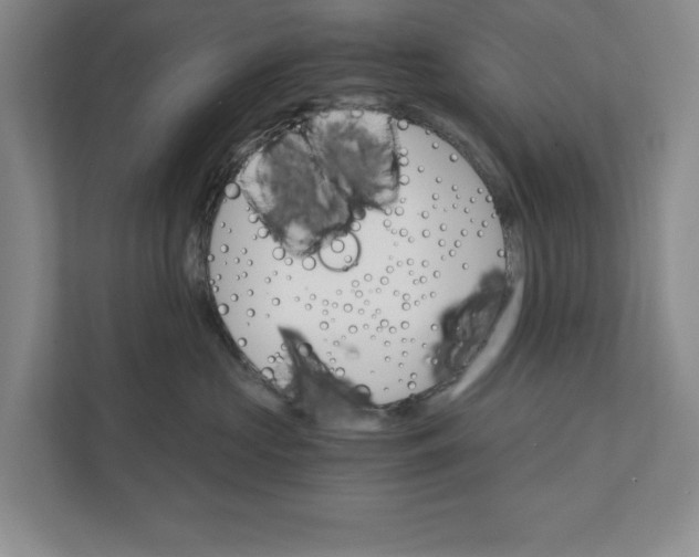 X0000111930573200908171239