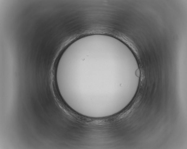 X0000111930578200908171238