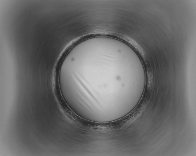 X0000111930580200908171238