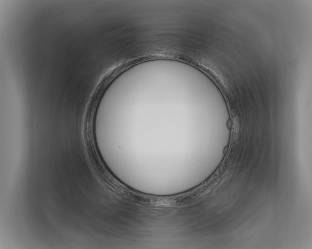 X0000111930587200908171238