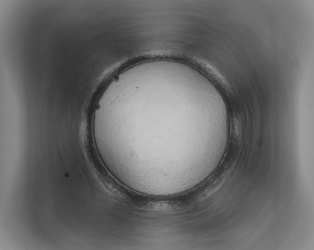 X0000111930588200908171238