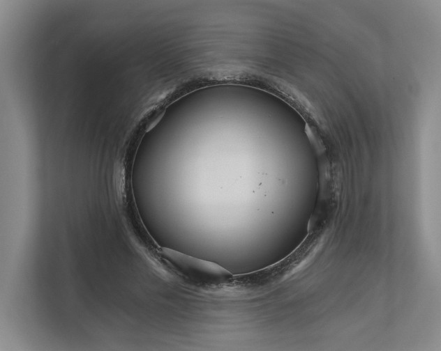 X0000111930589200908171238