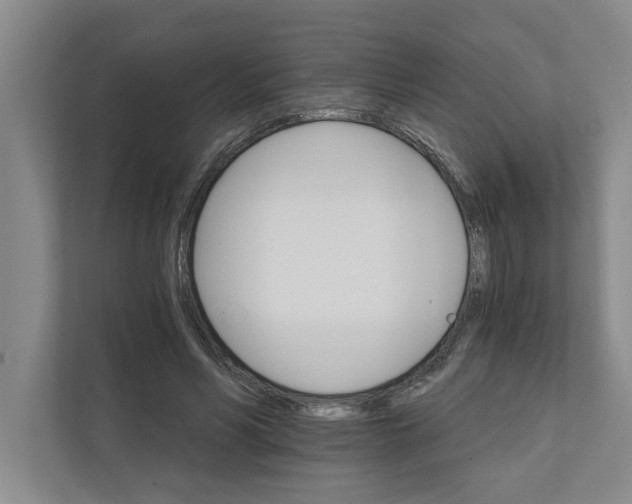 X0000111930590200908171238