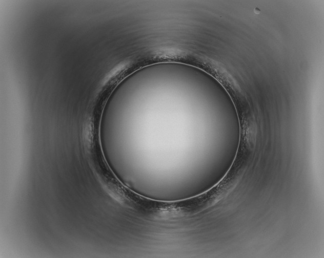 X0000111930591200908171238