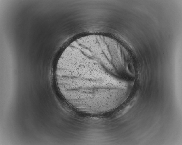 X0000111930592200908171238