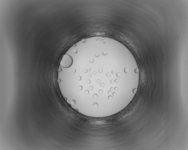 X0000111930594200908171238