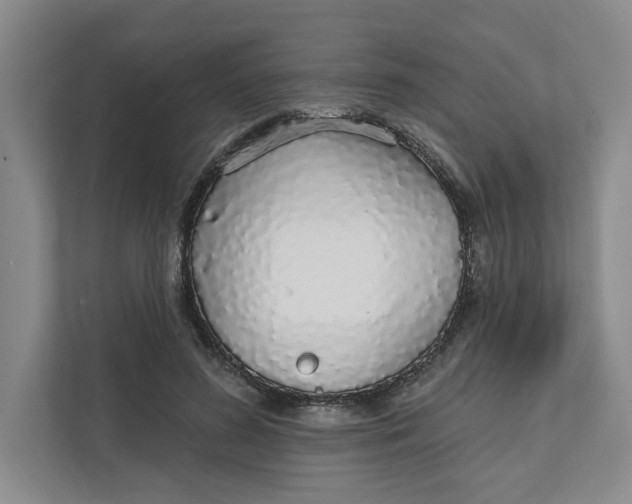 X0000111930596200908171238