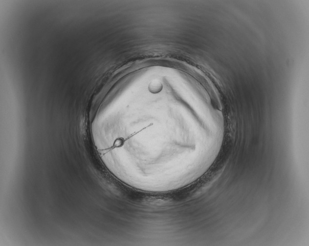 X0000111930597200908171238