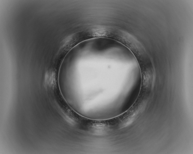 X0000111930598200908171238