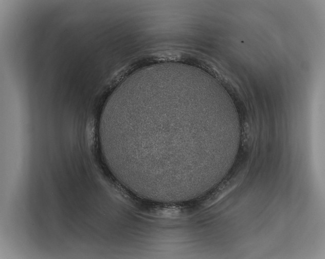 X0000111930600200908171238