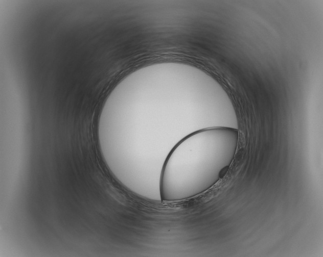 X0000111930601200908171238