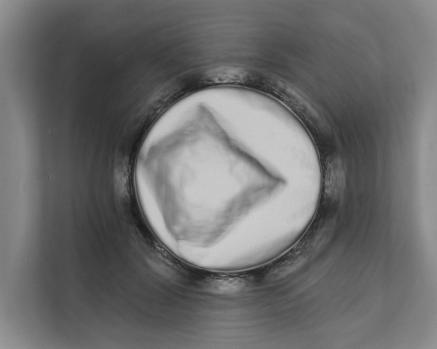 X0000111930604200908171238