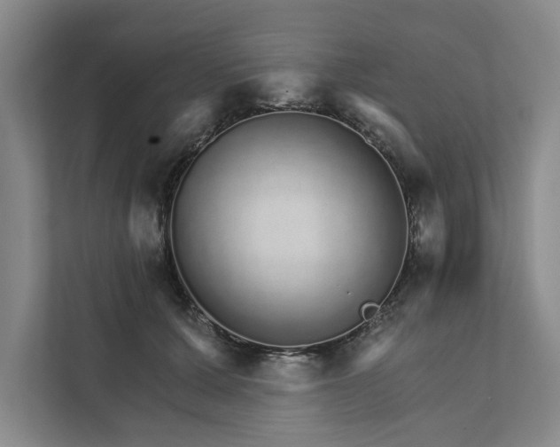 X0000111930607200908171238