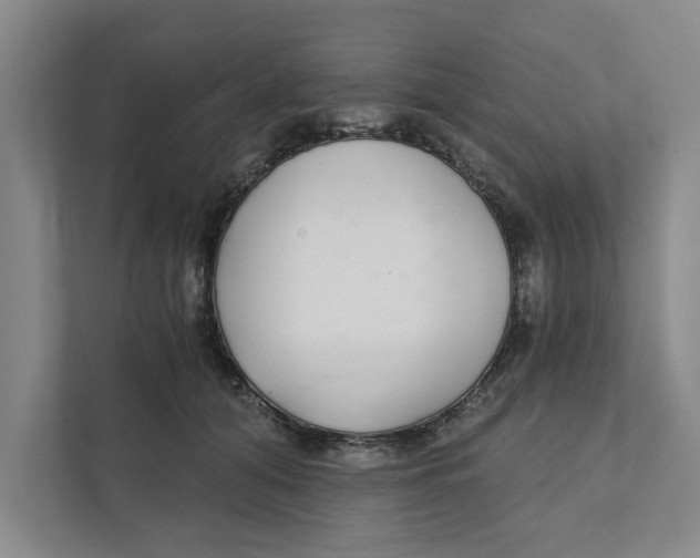 X0000111930608200908171238