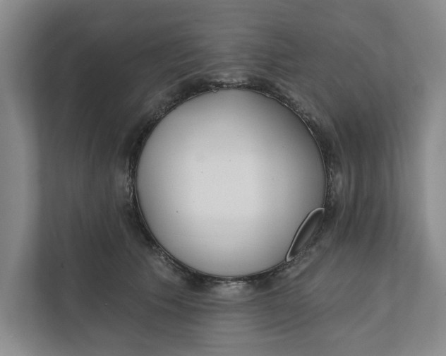 X0000111930609200908171238