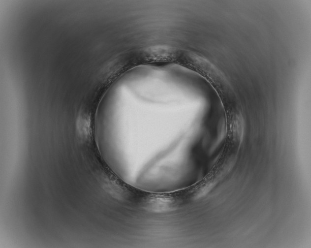 X0000111930610200908171238