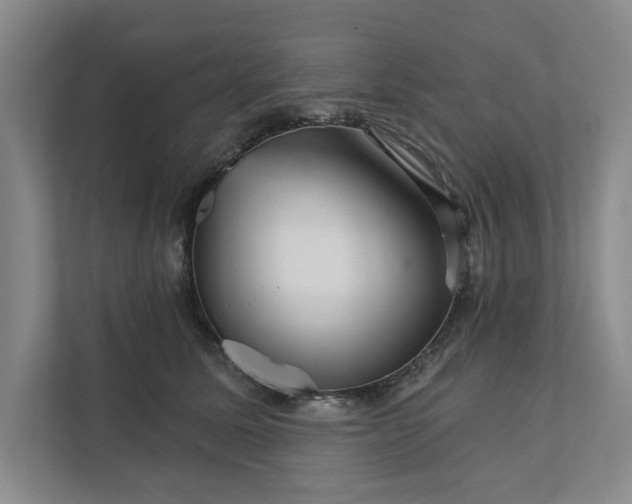 X0000111930611200908171238